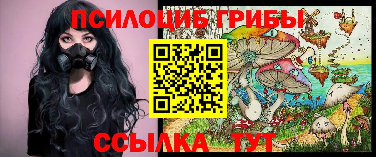Псилоцибиновые грибы GOLDEN TEACHER  Вход с VPN  купить наркотик  Воркута 
