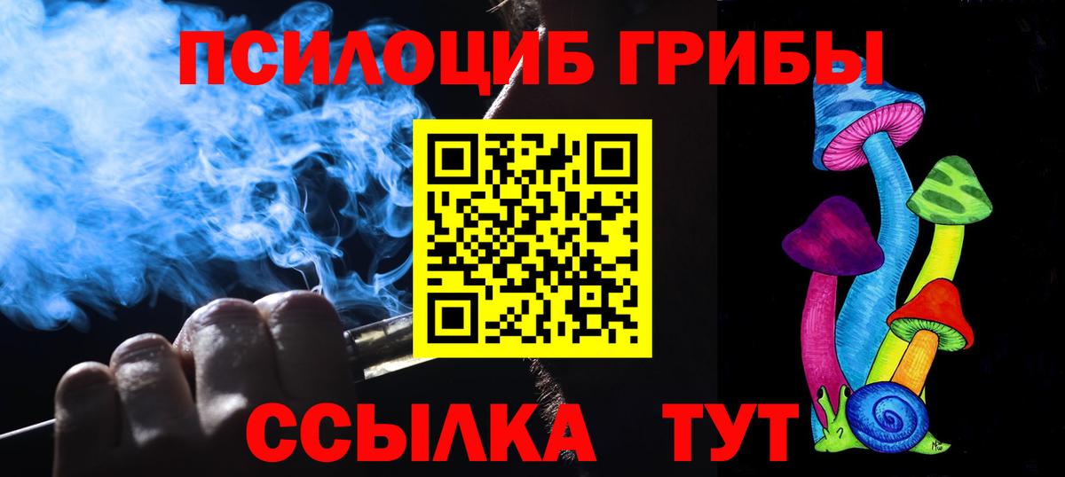 Псилоцибиновые грибы Psilocybine cubensis Воркута